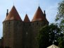 Carcassonne 2008