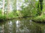 Marais Poitevins
